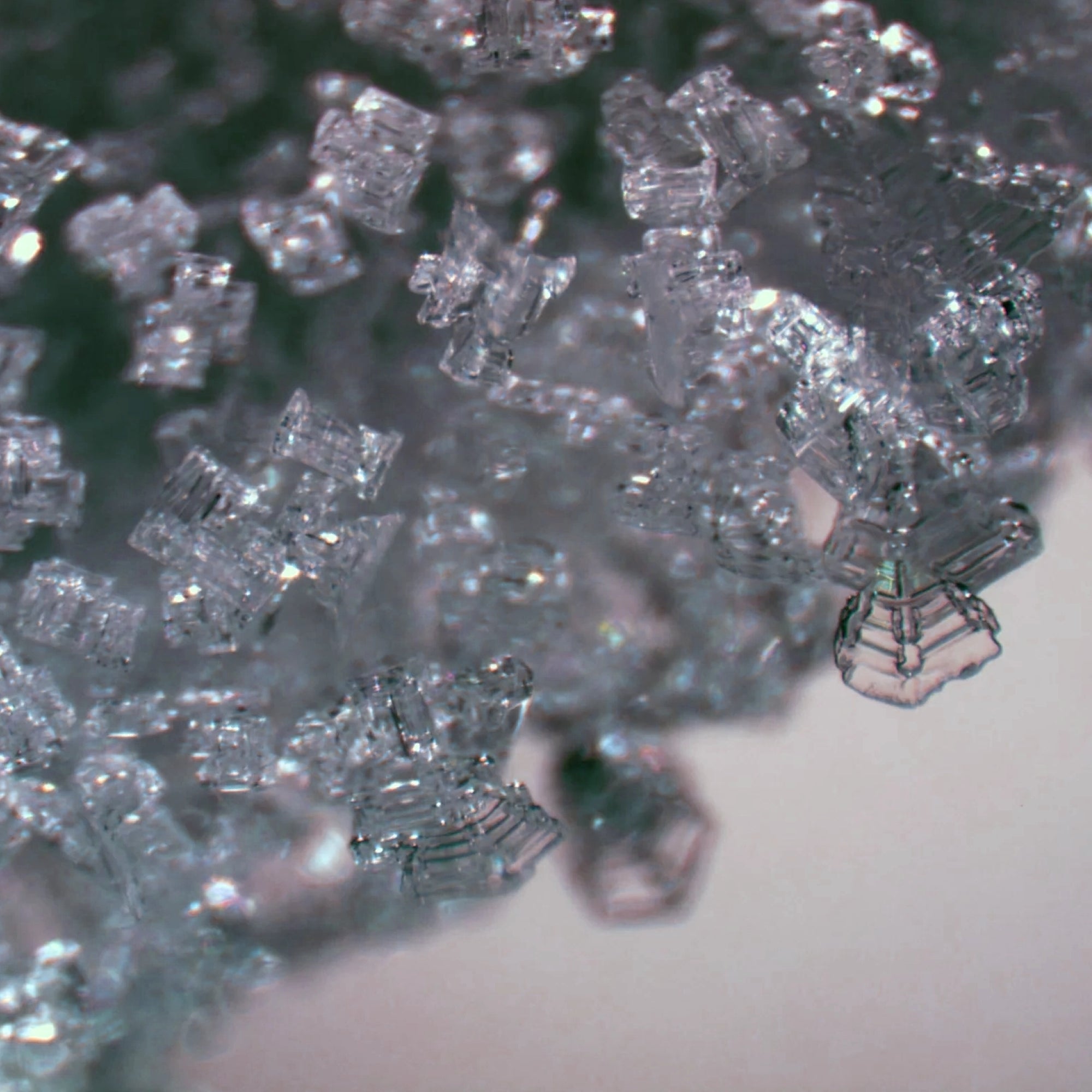 Stereomikroskop 20x Vergrößerung